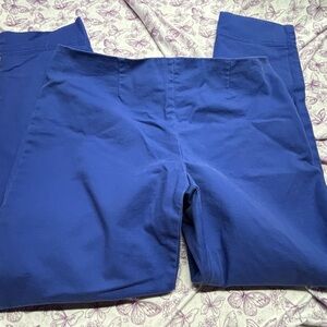 Ellen Tracy Women's Blue Ankle Pants